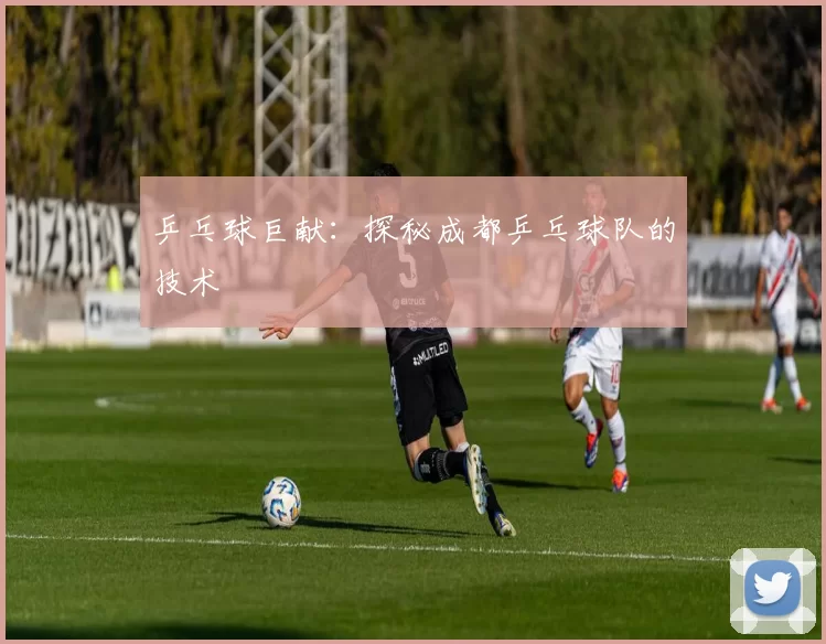 乒乓球巨献：探秘成都乒乓球队的技术