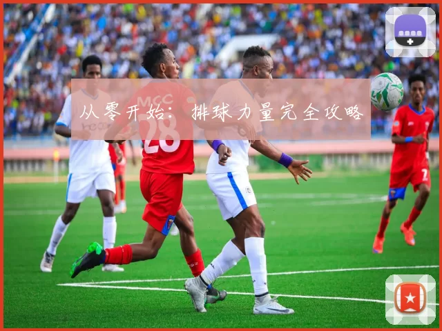 从零开始：排球力量完全攻略