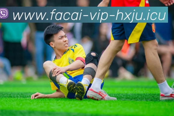 MK体育注册平台生态图