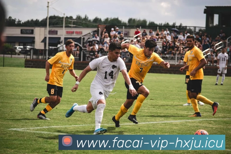 MK体育注册全站App